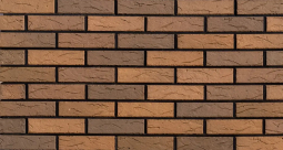 Кирпич лицевой керамический Мотив Coral пустотелый одинарный