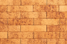 Кирпич лицевой керамический Тайга «Скала» «Морошка» пустотелый одинарный